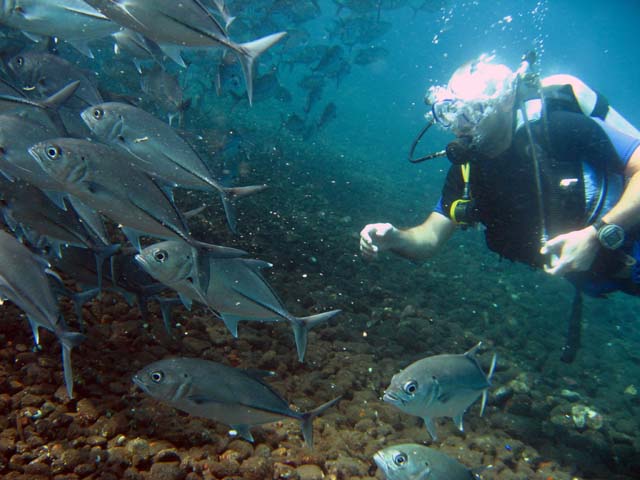 Michael & school of Jackfish, Bali, Indonesia