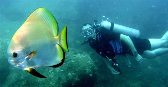 Michael & Batfish, Pulau Tioman, West Malaysia