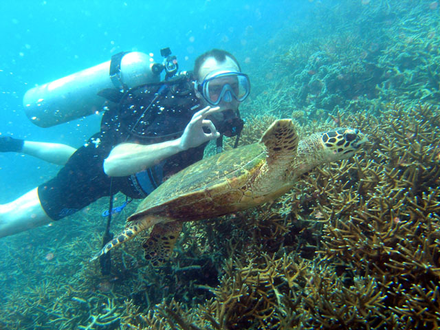 Michael & Green Turtle, Pulau Tioman, West Malaysia