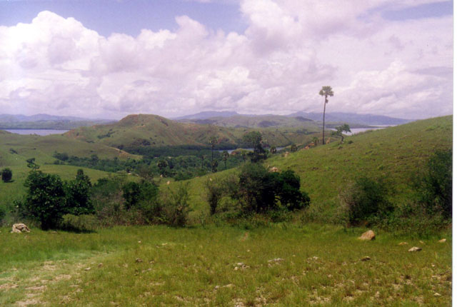 Rinca Island, Nusa Tenggara, Indonesia