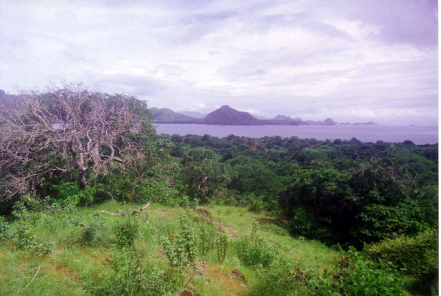 Komodo Island, Nusa Tenggara, Indonesia