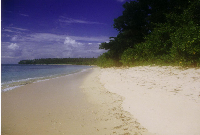 Paradise Island off Tobelo, Halmahera, North Maluku