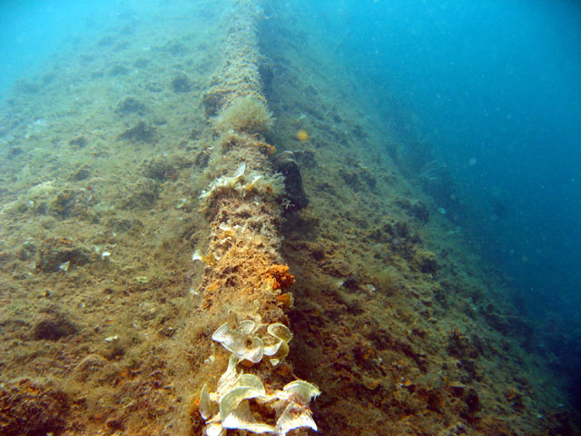 El Capitan, Subic Bay, Philippines