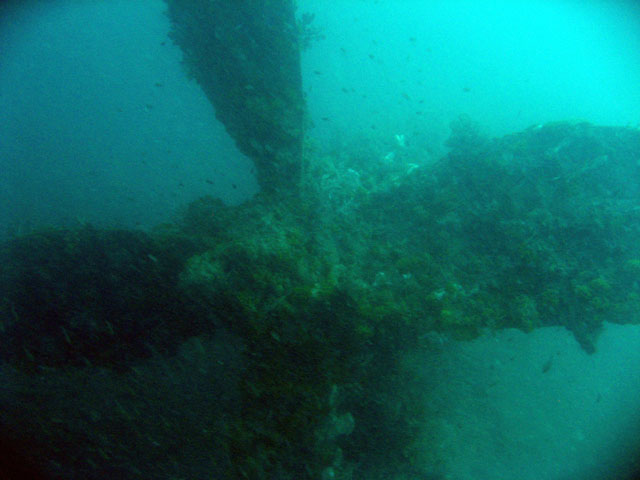 Ningpo Maru, between Riau & Badas island groups, Indonesia