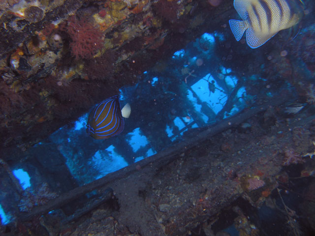 Wreck of fishingboat at Soyak, Pulau Tioman, West Malaysia