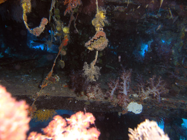 Wreck of fishingboat at Soyak, Pulau Tioman, West Malaysia