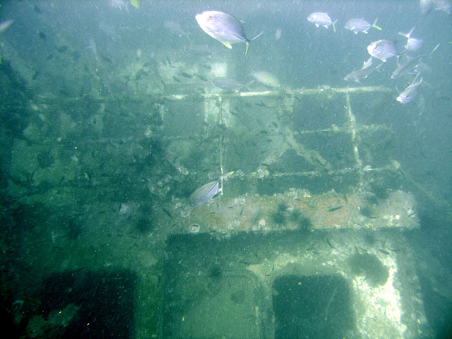 Sugar wreck, Perhentian Islands, West Malaysia