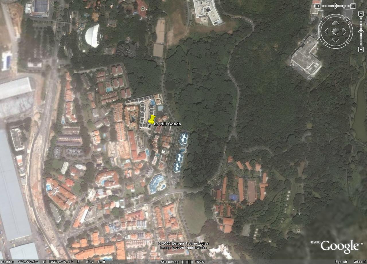 Google Earth picture of Pasir Panjang
