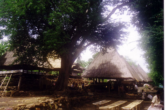 Kampung Takpala, Alor, Nusa Tenggara