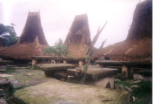 Kampung Tarung, Waikabubak, West Sumba