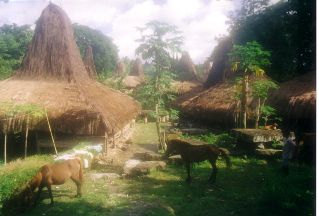 Kampung Waitabar, Waikabubak, West Sumba