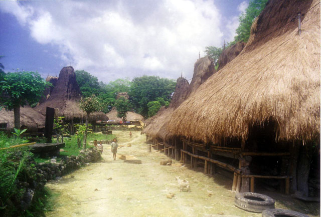 Village in Lamboya, West Sumba, Nusa Tenggara