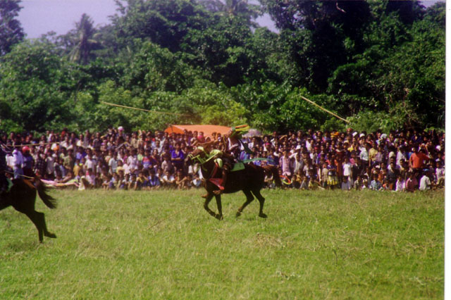 Kodi Pasola, West Sumba, Nusa Tenggara