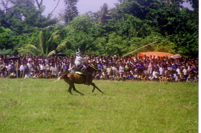 Kodi Pasola, West Sumba, Nusa Tenggara