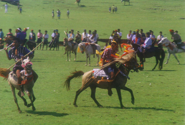 Lamboya Pasola, Central Sumba, Nusa Tenggara