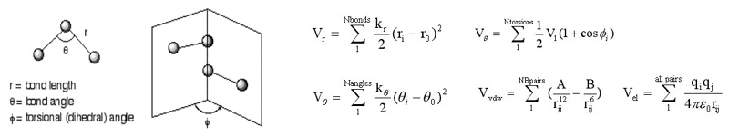 Force field terms